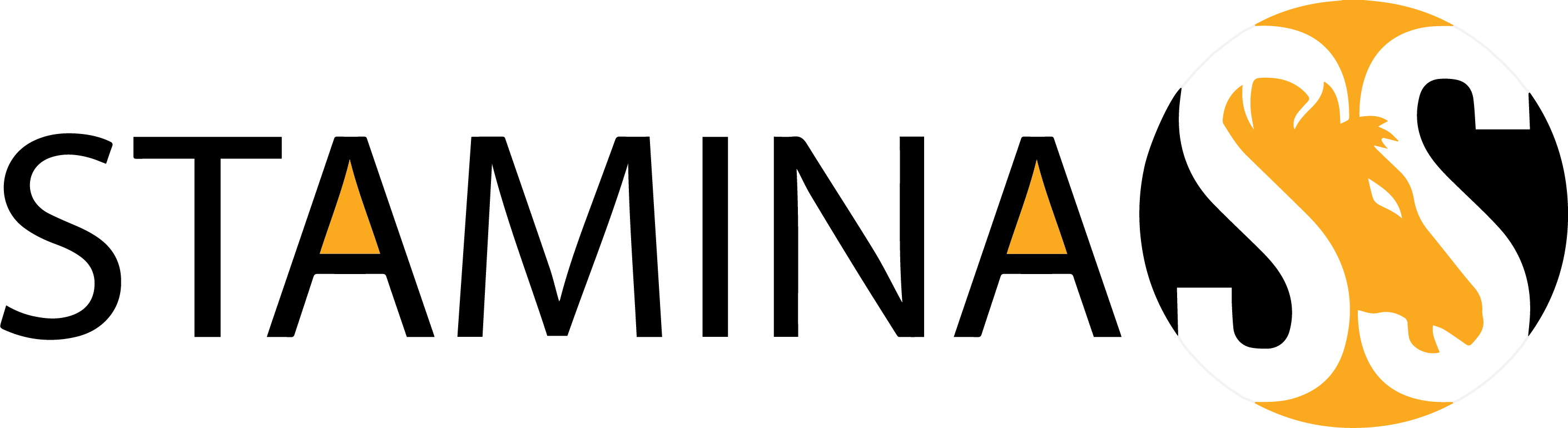 staminacs.com