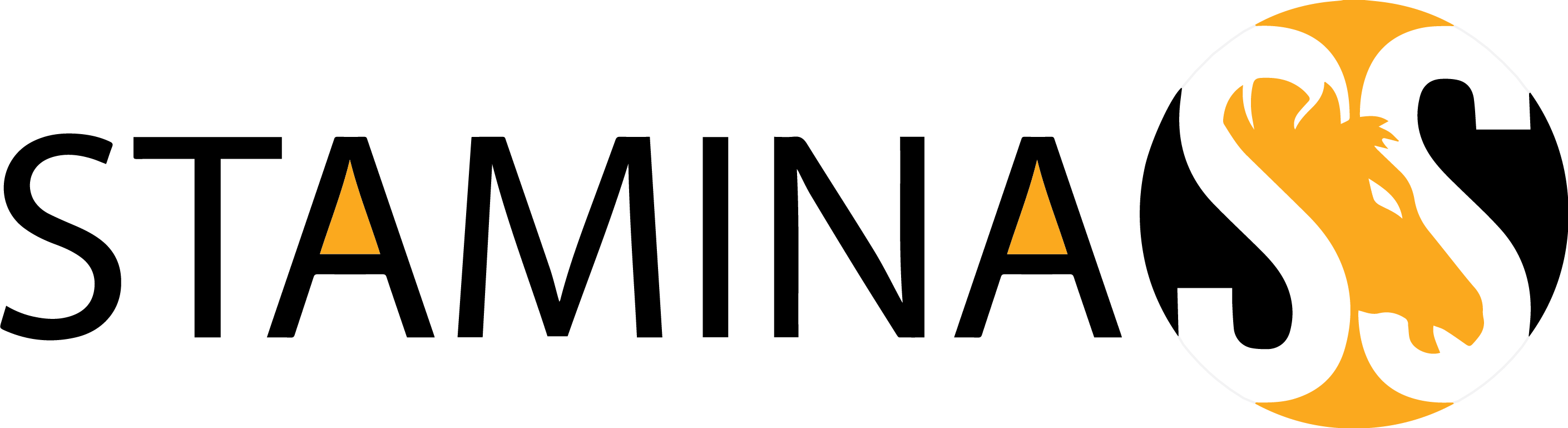staminacs.com
